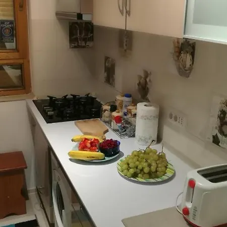 Ally Apartament Apartment Constanta